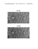 Antimicrobial Exfoliated Vermiculite Composite Material and Methods for     Preparing the Same diagram and image