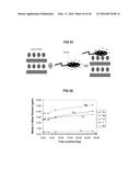 Antimicrobial Exfoliated Vermiculite Composite Material and Methods for     Preparing the Same diagram and image