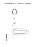 Method and Apparatus for the Capture of Intra-cellular Activity diagram and image