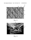 Absorbent Articles diagram and image