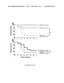 METHODS AND COMPOSITIONS FOR PREVENTING AND TREATING ELCTROPHILE-MEDIATED     TOXICITIES diagram and image