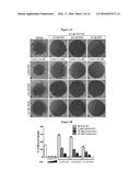 Ocular Formulations for Drug-Delivery and Protection of the Anterior     Segment of the Eye diagram and image