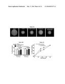 Ocular Formulations for Drug-Delivery and Protection of the Anterior     Segment of the Eye diagram and image