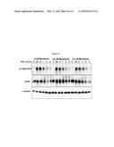 Ocular Formulations for Drug-Delivery and Protection of the Anterior     Segment of the Eye diagram and image