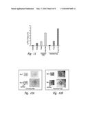 WNT MODULATORS FOR THE PROTECTION, MITIGATION AND TREATMENT OF RADIATION     INJURY diagram and image