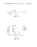 WNT MODULATORS FOR THE PROTECTION, MITIGATION AND TREATMENT OF RADIATION     INJURY diagram and image