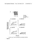 SR-BI AS A PREDICTOR OF HUMAN FEMALE INFERTILITY AND RESPONSIVENESS TO     TREATMENT diagram and image