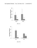 TREATMENT OF PAIN USING PLACENTAL STEM CELLS diagram and image