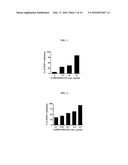 COMPOSITION FROM SPHAERANTHUS INDICUS AND GARCINIA MANGOSTANA FOR THE     CONTROL OF METABOLIC SYNDROME diagram and image