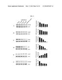 COMPOSITION FROM SPHAERANTHUS INDICUS AND GARCINIA MANGOSTANA FOR THE     CONTROL OF METABOLIC SYNDROME diagram and image