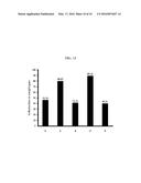 COMPOSITION FROM SPHAERANTHUS INDICUS AND GARCINIA MANGOSTANA FOR THE     CONTROL OF METABOLIC SYNDROME diagram and image