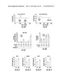 Novel Target for Diagnosis and Treatment of Diabetes and Cardiovascular     Diseases diagram and image