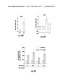 Novel Target for Diagnosis and Treatment of Diabetes and Cardiovascular     Diseases diagram and image