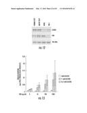 Novel Target for Diagnosis and Treatment of Diabetes and Cardiovascular     Diseases diagram and image