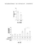 Novel Target for Diagnosis and Treatment of Diabetes and Cardiovascular     Diseases diagram and image