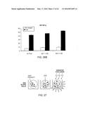 Inactivated Bacterial Cell Formulation diagram and image