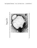 NANOEMULSION INFLUENZA VACCINE diagram and image