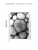 NANOEMULSION INFLUENZA VACCINE diagram and image