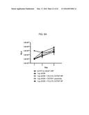 DELIVERY OF SELF-REPLICATING RNA USING BIODEGRADABLE POLYMER PARTICLES diagram and image