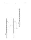 NOVEL SINGLE CHEMICAL ENTITIES AND METHODS FOR DELIVERY OF     OLIGONUCLEOTIDES diagram and image