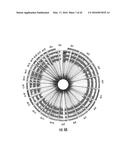 COMPOSITIONS AND METHODS FOR THE EXPRESSION OF CRISPR GUIDE RNAS USING THE     H1 PROMOTER diagram and image