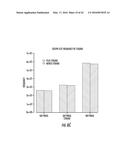 COMPOSITIONS AND METHODS FOR THE EXPRESSION OF CRISPR GUIDE RNAS USING THE     H1 PROMOTER diagram and image