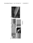 HEAT-CURLING POLYMERIC NEEDLE FOR SAFE DISPOSAL diagram and image