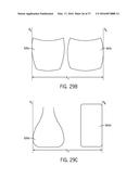 Fluid Application System diagram and image