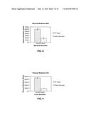 POLYMER IMPREGNATED BACKING MATERIAL, ABRASIVE ARTICLES INCORPORATING     SAME, AND PROCESSES OF MAKING AND USING diagram and image