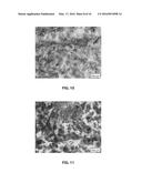 POLYMER IMPREGNATED BACKING MATERIAL, ABRASIVE ARTICLES INCORPORATING     SAME, AND PROCESSES OF MAKING AND USING diagram and image