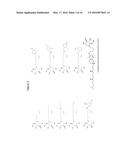 GLYCOLIPID INHIBITION USING IMINOSUGARS diagram and image