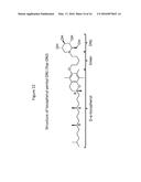 GLYCOLIPID INHIBITION USING IMINOSUGARS diagram and image