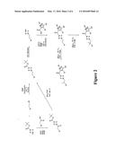 PYRAZOLE DERIVATIVES AS MODULATORS OF THE 5-HT2A SEROTONIN RECEPTOR USEFUL     FOR THE TREATMENT OF DISORDERS RELATED THERETO diagram and image