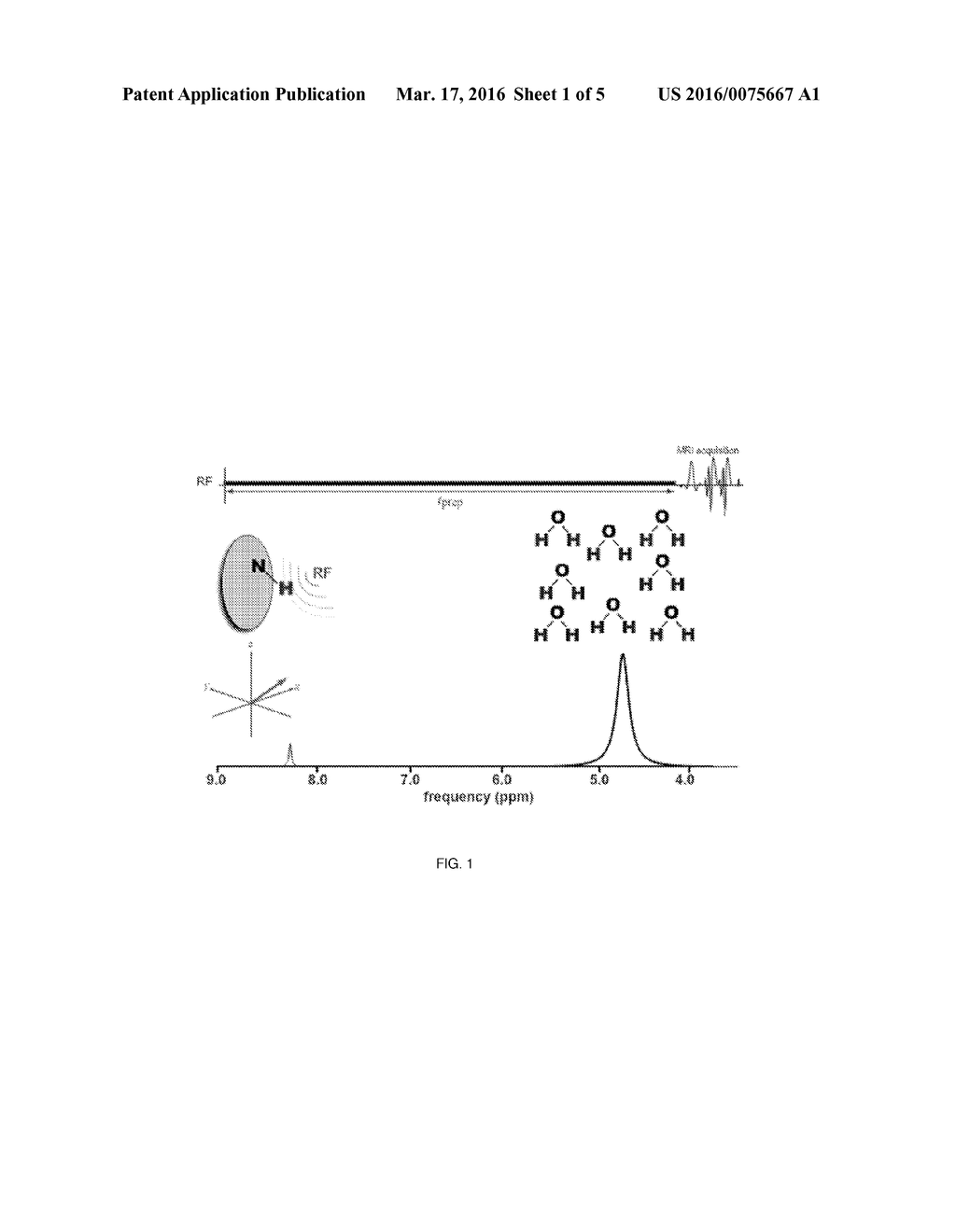 COMPOSITIONS AND METHODS FOR CHEMICAL EXCHANGE SATURATION TRANSFER (CEST)     MAGNETIC RESONANCE IMAGING (MRI) - diagram, schematic, and image 02