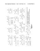 BICYCLIC METHYLENE AZIRIDINES AND REACTIONS THEREOF diagram and image