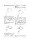 SYNTHESIS OF RESORCYLIC ACID LACTONES USEFUL AS THERAPEUTIC AGENTS diagram and image