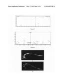 ANTI-ANGIOGENESIS COMPOUND, INTERMEDIATE AND USE THEREOF diagram and image