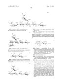 SYNTHESIS  OF SIALYLATED/FUCOSYLATED HUMAN MILK OLIGOSACCHARIDES diagram and image