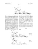 SYNTHESIS  OF SIALYLATED/FUCOSYLATED HUMAN MILK OLIGOSACCHARIDES diagram and image