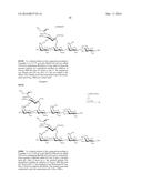 SYNTHESIS  OF SIALYLATED/FUCOSYLATED HUMAN MILK OLIGOSACCHARIDES diagram and image