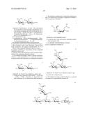 SYNTHESIS  OF SIALYLATED/FUCOSYLATED HUMAN MILK OLIGOSACCHARIDES diagram and image