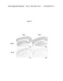 URIDINE NUCLEOSIDE DERIVATIVES, COMPOSITIONS AND METHODS OF USE diagram and image