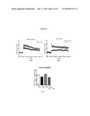 URIDINE NUCLEOSIDE DERIVATIVES, COMPOSITIONS AND METHODS OF USE diagram and image