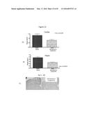 URIDINE NUCLEOSIDE DERIVATIVES, COMPOSITIONS AND METHODS OF USE diagram and image