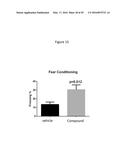 URIDINE NUCLEOSIDE DERIVATIVES, COMPOSITIONS AND METHODS OF USE diagram and image