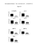 URIDINE NUCLEOSIDE DERIVATIVES, COMPOSITIONS AND METHODS OF USE diagram and image