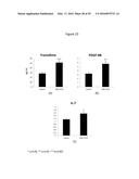 URIDINE NUCLEOSIDE DERIVATIVES, COMPOSITIONS AND METHODS OF USE diagram and image