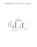 MODIFIED POLYNUCLEOTIDES FOR THE PRODUCTION OF BIOLOGICS AND PROTEINS     ASSOCIATED WITH HUMAN DISEASE diagram and image