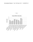 MODIFIED POLYNUCLEOTIDES FOR THE PRODUCTION OF BIOLOGICS AND PROTEINS     ASSOCIATED WITH HUMAN DISEASE diagram and image