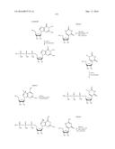 MODIFIED POLYNUCLEOTIDES FOR THE PRODUCTION OF BIOLOGICS AND PROTEINS     ASSOCIATED WITH HUMAN DISEASE diagram and image